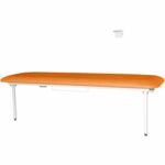 Läbivaatuslaud metallraamiga LMS, seinale kinnituv - Image 4