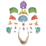 Osteopaatiline kolju mudel, 22 osa, didaktiline versioon - Image 3